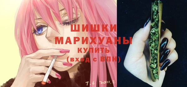 молекула духа Заводоуковск