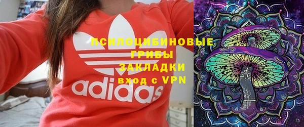 молекула духа Заводоуковск