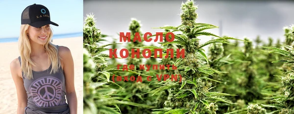 молекула духа Заводоуковск