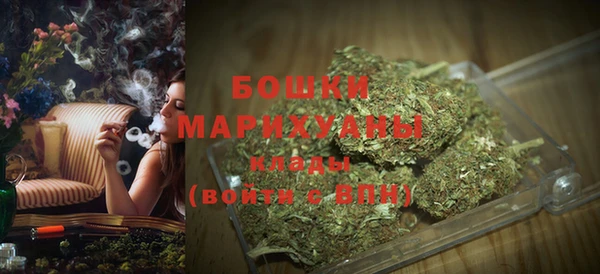 молекула духа Заводоуковск